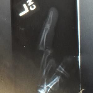 Meet your Posher, William